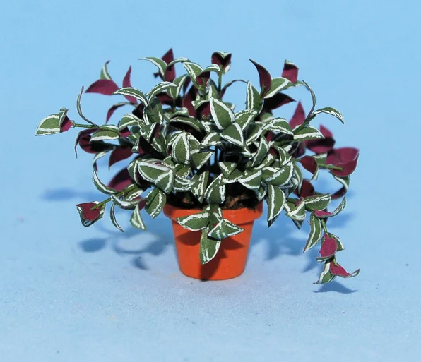 Wandering Jew in a Terra Cotta Pot One-inch scale - Click Image to Close
